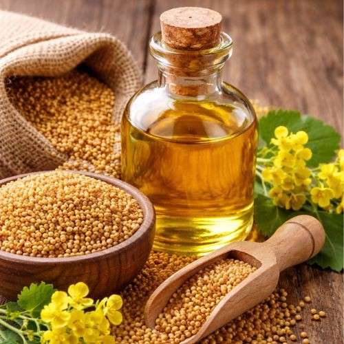 You are currently viewing Mustard Oil Hair Care Benefits: The Secret to Strong, Shiny & Healthy Lock